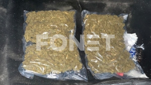 Zaplenjena marihuana